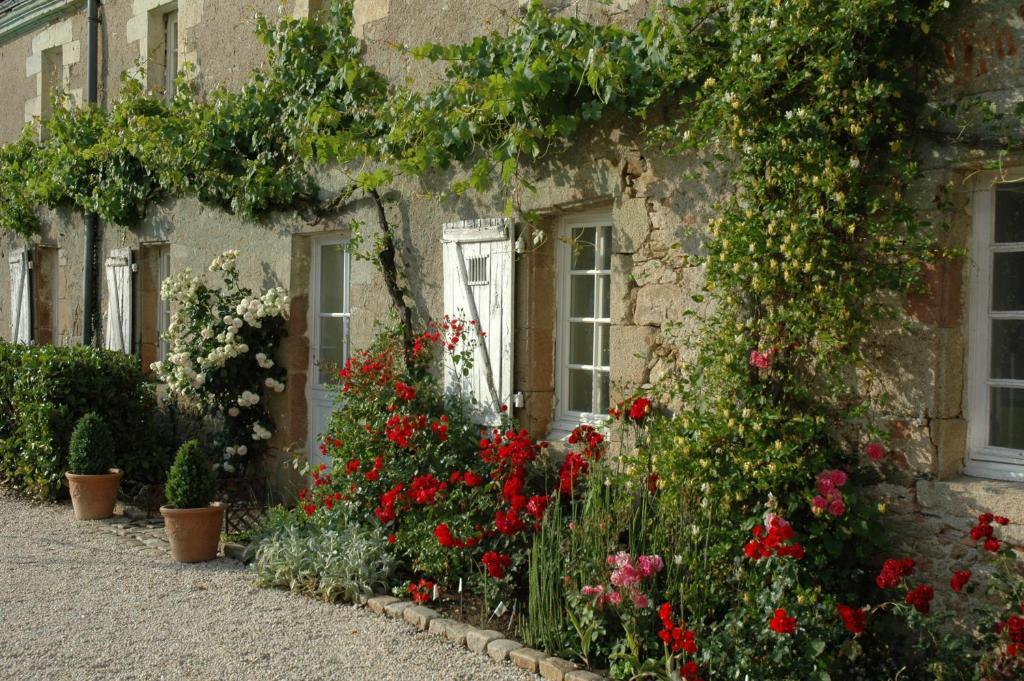 Chateau De L'Oiseliniere Bed & Breakfast Gorges  Exterior photo
